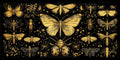No. 01 – Vintage Entomology collection, rectangular 2:1 design by SubliLux