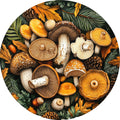 N. 01 – Funghi e Botanica del Bosco, tondo