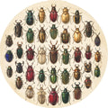 No. 01 – Vintage Entomology collection, round design by SubliLux