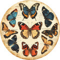 N. 02 – Entomologico Vintage, tondo