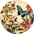 N. 04 – Entomologico Vintage, tondo