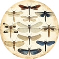 No. 05 – Vintage Entomology collection, round design by SubliLux