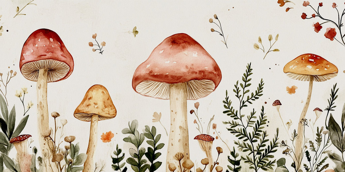 N. 05 – Funghi e Botanica del Bosco, rettangolare 2:1