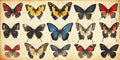 No. 06 – Vintage Entomology collection, rectangular 2:1 design by SubliLux