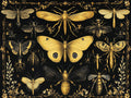 No. 06 – Vintage Entomology collection, rectangular 4:3 design by SubliLux