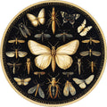 N. 06 – Entomologico Vintage, tondo
