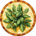 Basilico 2 – Aromatiche e Verdure, tondo
