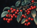 Ciliegie – Frutta, rettangolare 4:3