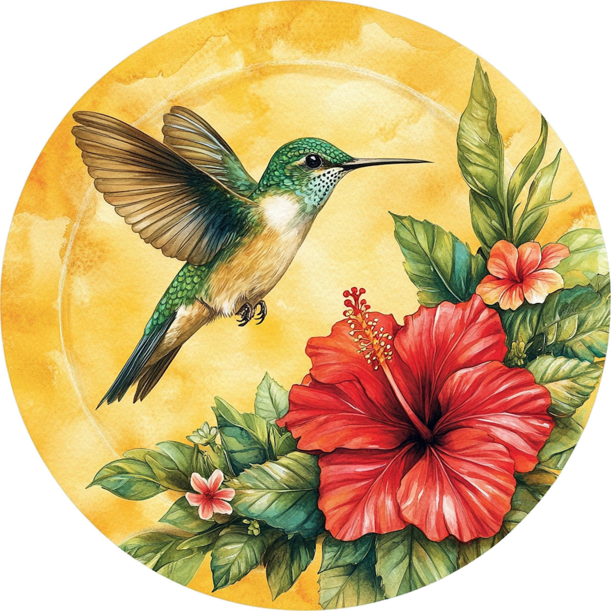 Colibrì – Animali, tondo