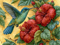 Colibrì – Animali, rettangolare 4:3