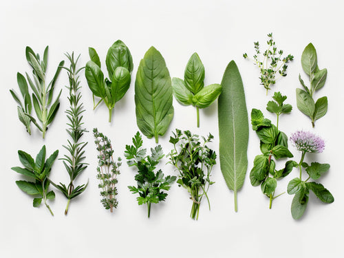 Erbe 2 – Aromatiche e Verdure, rettangolare 4:3