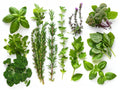 Erbe 3 – Aromatiche e Verdure, rettangolare 4:3
