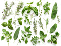 Erbe 4 – Aromatiche e Verdure, rettangolare 4:3