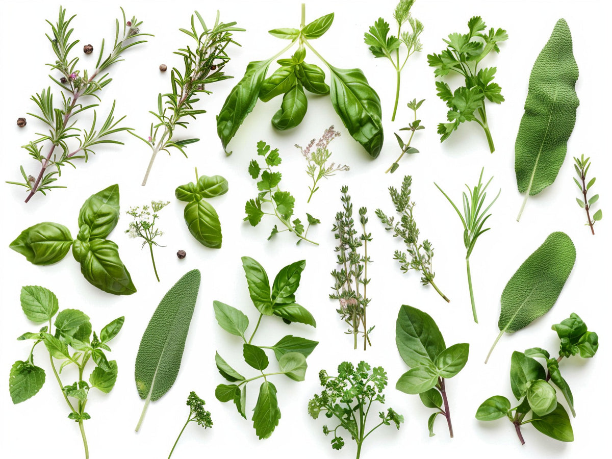Erbe 4 – Aromatiche e Verdure, rettangolare 4:3