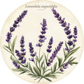 Lavender – Herbs & Vegetables collection, round design by SubliLux