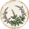 Menta – Aromatiche e Verdure, tondo