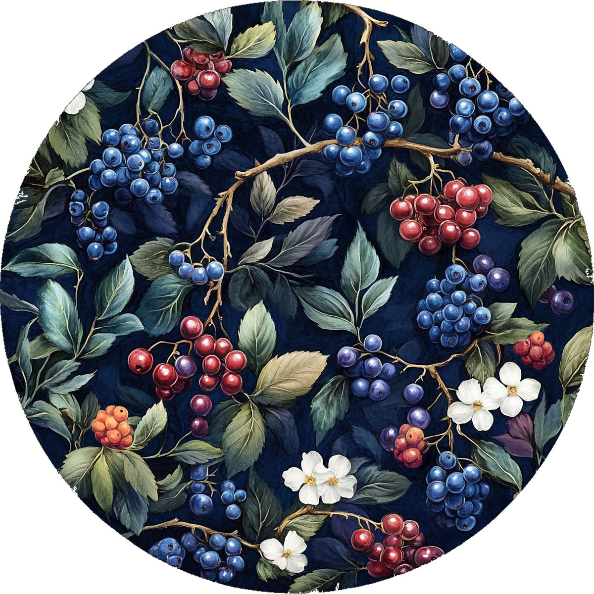 Mirtilli – Frutta, tondo