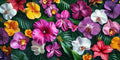 Orchidee ibisco – Fiori, rettangolare 2:1