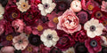 Peonie anemoni – Fiori, rettangolare 2:1