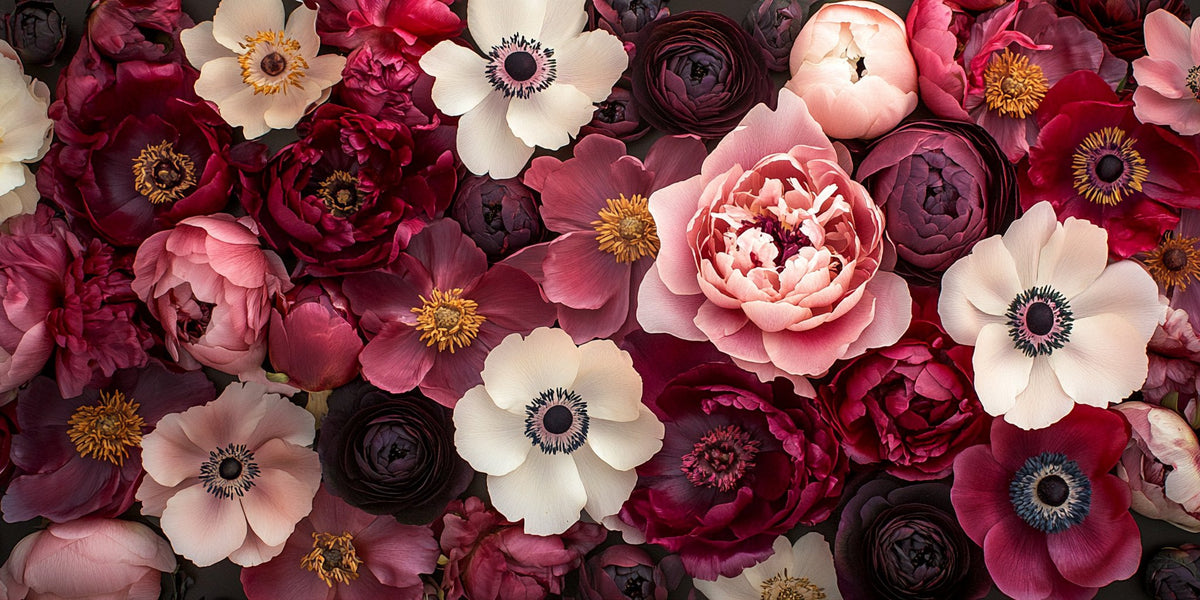 Peonie anemoni – Fiori, rettangolare 2:1