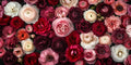 Roses – Flowers collection, rectangular 2:1 design by SubliLux