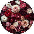 Rose – Fiori, tondo