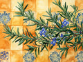 Rosemary 2 – Herbs & Vegetables collection, rectangular 4:3 design by SubliLux
