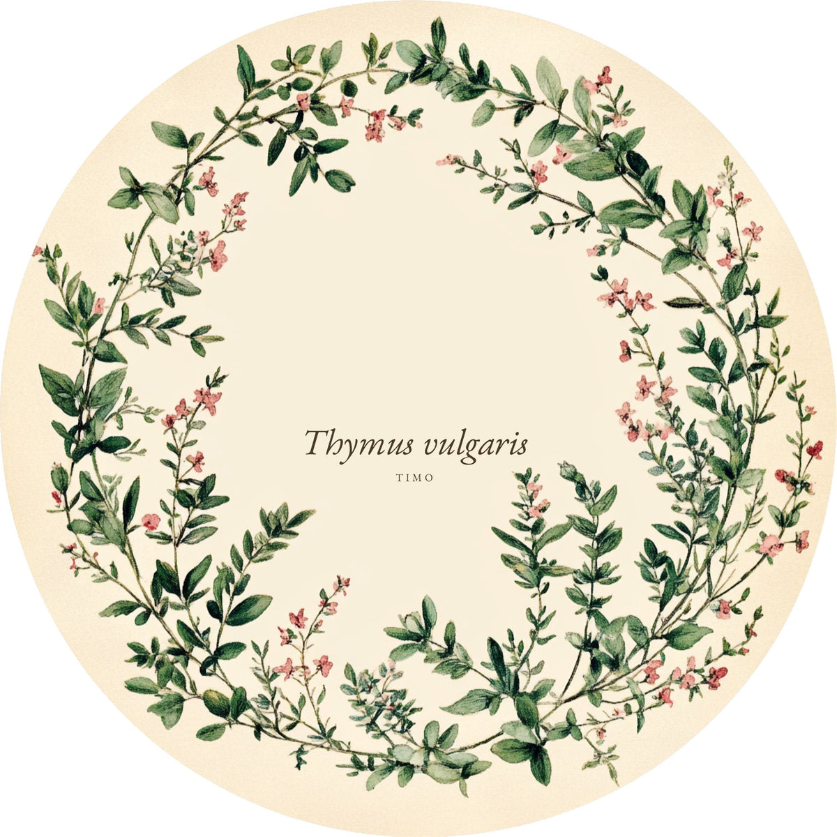 Timo – Aromatiche e Verdure, tondo