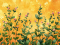 Timo 2 – Aromatiche e Verdure, rettangolare 4:3