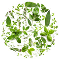 Tondo erbe – Aromatiche e Verdure, tondo