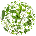 Herbs 2 – Herbs & Vegetables collection, round design by SubliLux