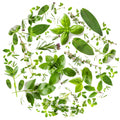 Tondo erbe 3 – Aromatiche e Verdure, tondo