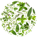 Tondo erbe 4 – Aromatiche e Verdure, tondo