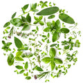Tondo erbe 5 – Aromatiche e Verdure, tondo