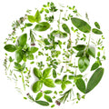 Herbs 6 – Herbs & Vegetables collection, round design by SubliLux