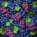 Uva – Frutta, quadrato