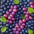 Uva 2 – Frutta, quadrato